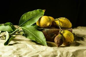 biologique citrons, récolté de le jardin, préparé sur le tableau. photo