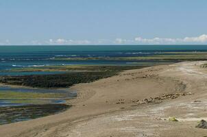 pierre haut-fond à faible marée, péninsule valdés, patagonie, Argentine photo