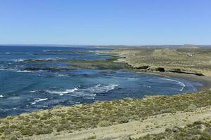 côtier paysage marin, patagonie, Argentine photo