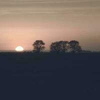 rural le coucher du soleil paysage, buenos aires Province , Argentine photo