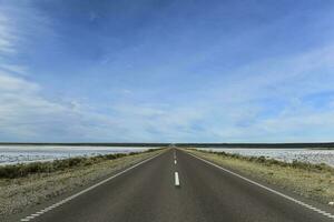 route dans le pampa plaine, patagonie, Argentine photo