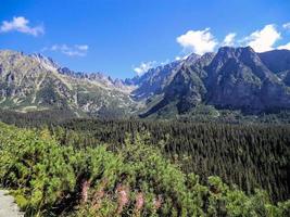 belle vue sur les hautes tatras de slovaquie