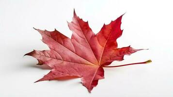 Canada indépendance journée. rouge érable feuille sur une blanc arrière-plan, fermer. ai généré. photo
