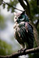 un hibou séance sur Haut de une arbre branche. ai généré photo