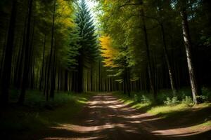 une saleté route dans le milieu de une forêt. ai généré photo