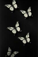une groupe de blanc papillons sur une noir Contexte. ai généré photo