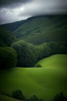 une luxuriant vert flanc de coteau couvert dans des arbres en dessous de une nuageux ciel. ai généré photo