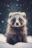 mignonne raton laveur dans hiver forêt. animal dans le neige. ai génératif photo