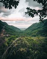 vue sur la nature tropicale depuis un sentier de randonnée à oahu, hawaii photo