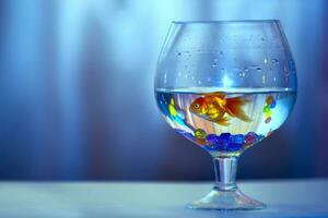 poisson rouge dans une verre gobelet sur une bleu Contexte. photo