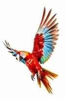 coloré perroquet en volant par le air avec ses ailes propager en dehors et c'est ailes diffuser. génératif ai photo