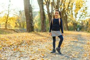 garder en étudiant. peu enfant prendre plaisir apprentissage dans l'automne parc. enfant étude avec livre. petit fille lis livre sur l'automne journée. l'automne Littérature concept. petit enfant prendre plaisir en train de lire l'automne feuillage Contexte. photo