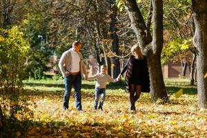 le famille des promenades dans le parc dans l'automne photo