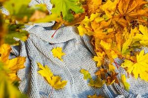 de laine plaid. l'automne Contexte. n plaid avec d'or feuilles sur Contexte Haut voir. confortable tomber composition photo