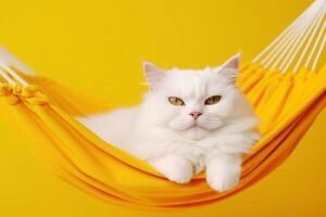 portrait de magnifique blanc chat avec des lunettes de soleil sur Jaune en tissu hamac isolé sur Jaune Contexte génératif ai photo