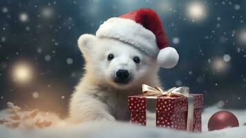 super mignonne blanc polaire ours dans Père Noël chapeau avec boite cadeau. ai généré image photo