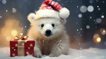 super mignonne blanc polaire ours dans Père Noël chapeau avec boite cadeau. ai généré image photo