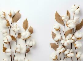 l'automne composition. Cadre fabriqué de eucalyptus branches, fleurs photo