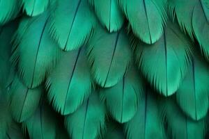 vert turquoise plume pigeon. produire ai photo