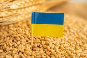 grains de blé avec drapeau de l'ukraine, exportation commerciale et concept d'économie. photo