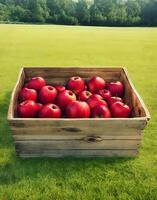 Pomme dans une boîte sur le jardin ai généré photo