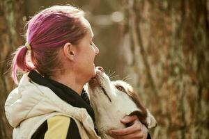 chien husky sibérien embrassant une femme aux cheveux roses, véritable amour de l'homme et de l'animal de compagnie, rencontre amusante photo