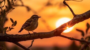 oiseau perché sur une arbre branche ai généré photo