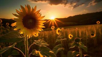 tournesol le coucher du soleil derrière ai généré photo