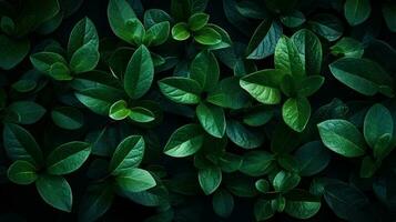 petit vert feuilles Contexte ai généré photo