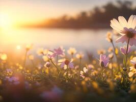 herbe fleurs champ plus de flou le coucher du soleil Contexte. ai généré. photo