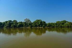 pantanal forêt écosystème, mato grossièrement, Brésil photo