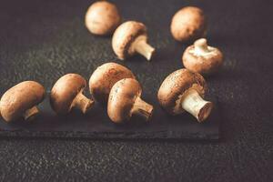 Suisse marron champignons photo