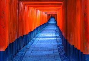 Portes torii rouges dans le sanctuaire fushimi inari à kyoto au japon