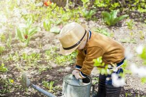 mignonne peu bambin garçon dans une chapeau et caoutchouc bottes est arrosage les plantes avec une arrosage pouvez dans le jardin. une charmant peu enfant portion le sien Parents grandir des légumes. photo