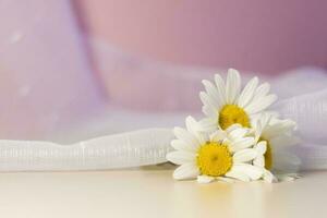 blanc marguerites sur une beige-rose Contexte avec une blanc voile. Naturel cosmétique produit. produit bannière. espace pour texte et conception. photo