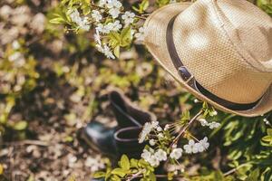 dans le jardin, sur une arbre avec blanc Cerise fleurs, là est une jardin chapeau, et en dessous de il sont bottes. jardinage et jardinage, photo