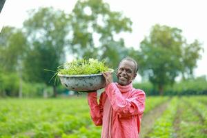 Indien content ferme ouvrier , travail dans ferme photo