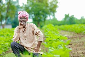 agriculteur en portant une coton arbre dans une coton champ, coton arbre, en portant feuille dans Inde photo