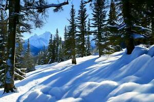 montagne hiver nature photo