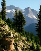 photo de des arbres et Montagne