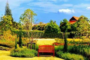 le banc en bois dans le jardin photo