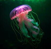 coloré méduse avec lumière du soleil scintillant par eau, génératif ai photo