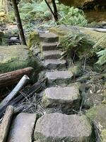 grandiose canyon marcher katoomba nsw photo