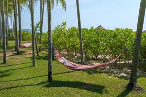 plage tropicale avec hamac sous les palmiers au soleil