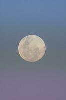 une plein lune est vu dans le ciel photo