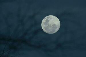 une plein lune est vu dans le ciel avec une violet et bleu Contexte photo