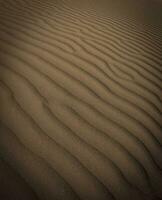 dune Contexte vue photo