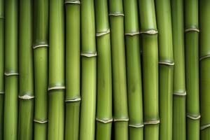 Naturel vert bambou texture ou modèle arrière-plan, ai génératif photo