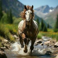 une sauvage cheval fonctionnement dans le ruisseau. sauvage ou ferme animaux concept par ai généré photo