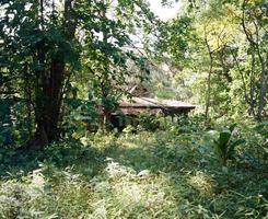 maison abandonnée au milieu de l'île photo